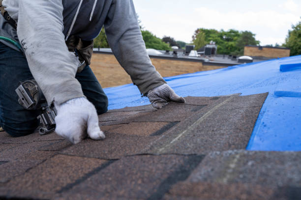 Best Green or Eco-Friendly Roofing Solutions  in Coon Rapids, MN